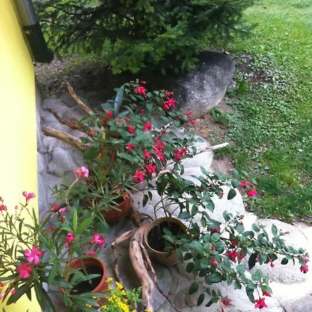 Πανσιόν Privat Pallo 3*