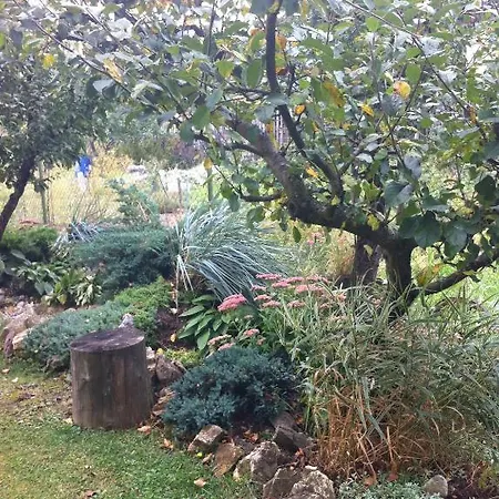 Πανσιόν Privat Pallo 3*